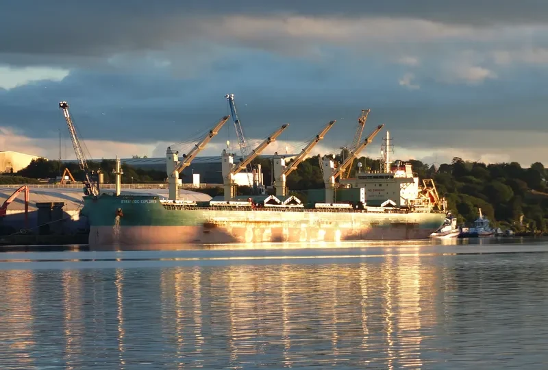 STRATEGIC EXPLORER Bulk Carrier IMO 9723708 photo 10