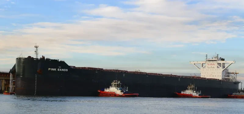 PINK SANDS Bulk Carrier IMO 9724647 photo 2