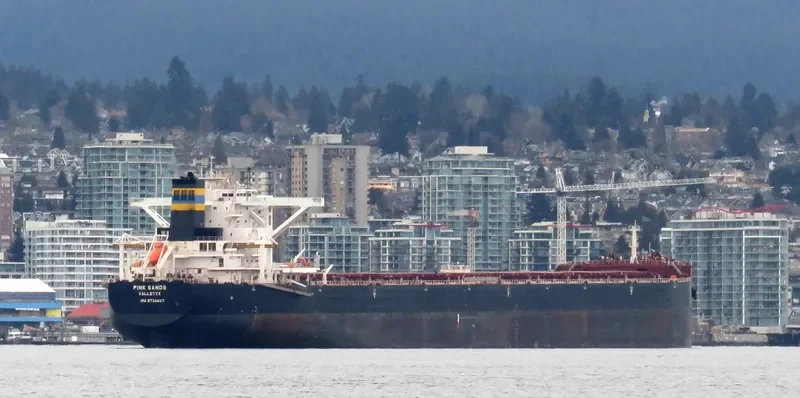 PINK SANDS Bulk Carrier IMO 9724647 photo 3