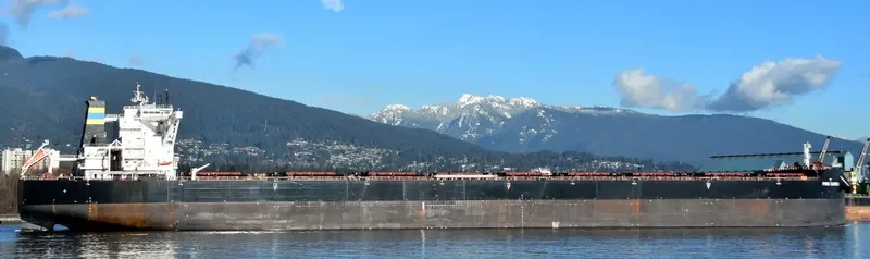 PINK SANDS Bulk Carrier IMO 9724647 photo 6