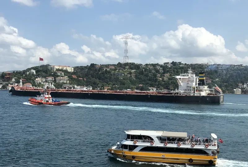 MARAN LOYALTY Bulk Carrier IMO 9724659 photo 3