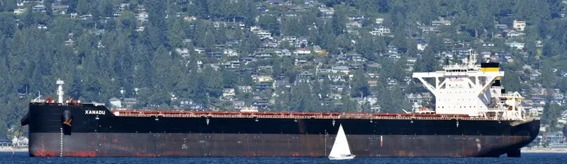 TRUE CRIMSON Bulk Carrier IMO 9724661