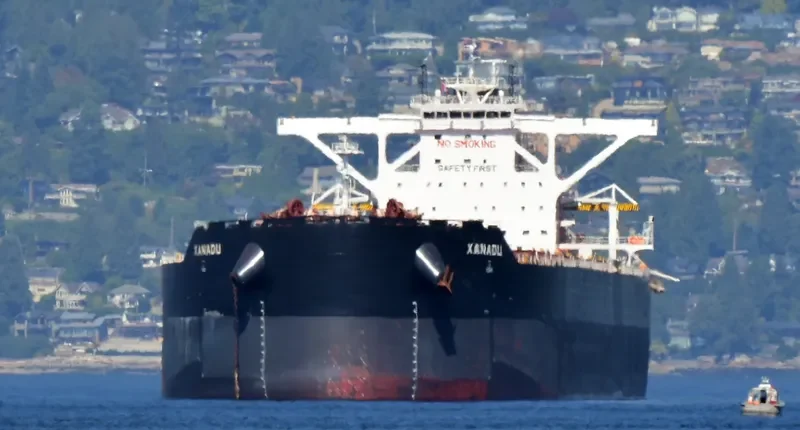 TRUE CRIMSON Bulk Carrier IMO 9724661 photo 4