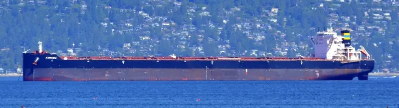 TRUE CRIMSON Bulk Carrier IMO 9724661 photo 5