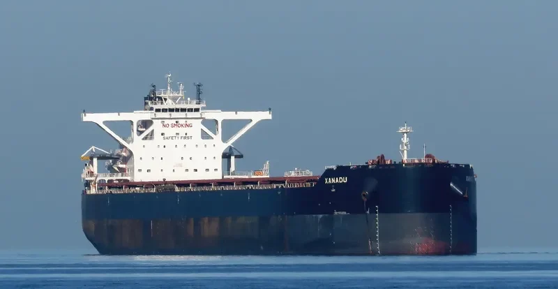 TRUE CRIMSON Bulk Carrier IMO 9724661 photo 7