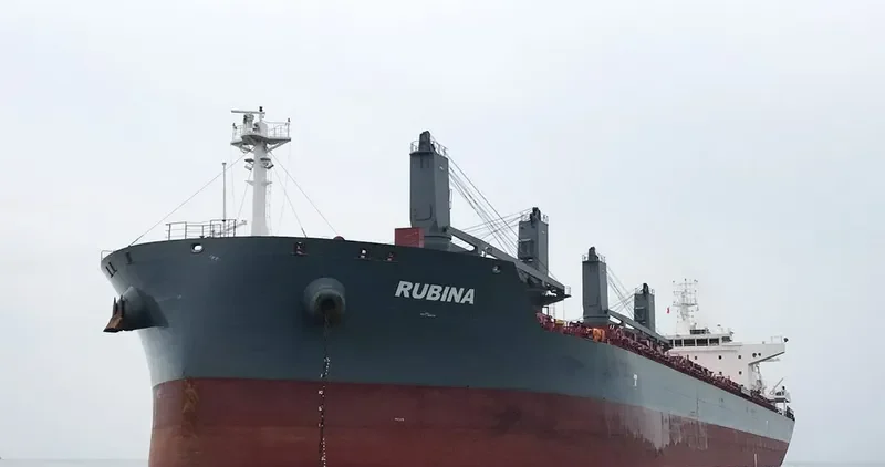 RUBINA Bulk Carrier IMO 9725512 photo 2