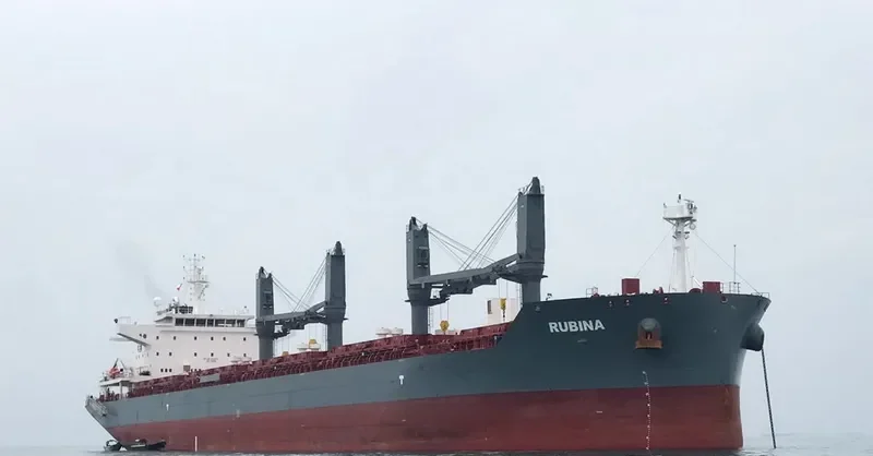 RUBINA Bulk Carrier IMO 9725512 photo 3