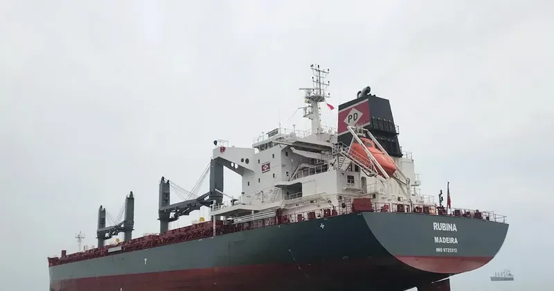 RUBINA Bulk Carrier IMO 9725512 photo 4