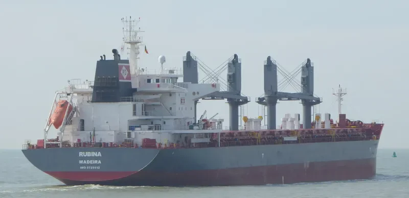 RUBINA Bulk Carrier IMO 9725512 photo 6