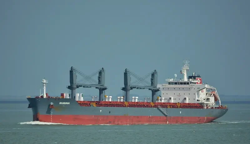 RUBINA Bulk Carrier IMO 9725512 photo 7