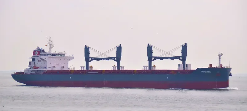 RUBINA Bulk Carrier IMO 9725512 photo 8
