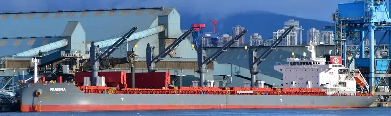 RUBINA Bulk Carrier IMO 9725512 photo 9