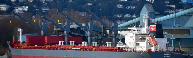 RUBINA Bulk Carrier IMO 9725512 photo 10