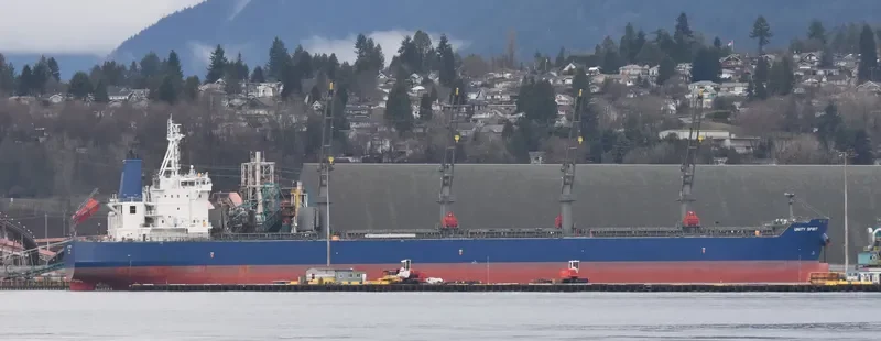 UNITY SPIRIT Bulk Carrier IMO 9725938 photo 46