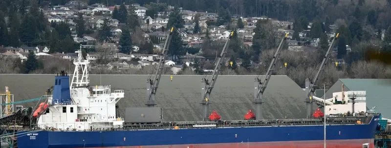 UNITY SPIRIT Bulk Carrier IMO 9725938 photo 59