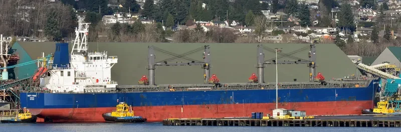 UNITY FORCE Bulk Carrier IMO 9726023 photo 35