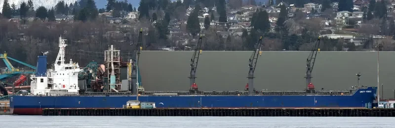 UNITY FORCE Bulk Carrier IMO 9726023 photo 42
