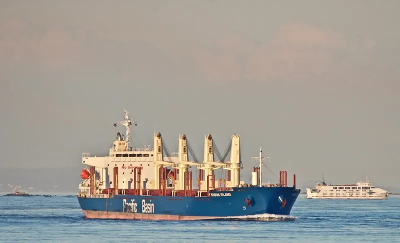 KODIAK ISLAND Bulk Carrier IMO 9726190 photo 3