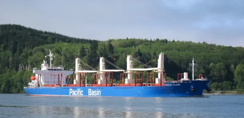 KODIAK ISLAND Bulk Carrier IMO 9726190 photo 9