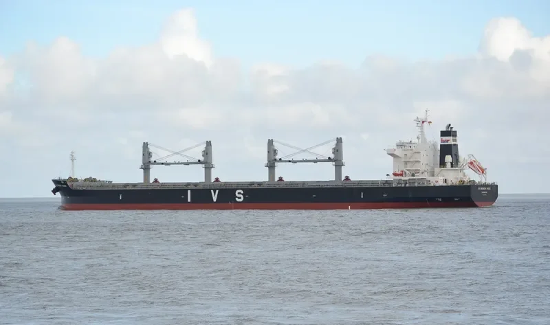 IVS BOSCH HOEK Bulk Carrier IMO 9726243 photo 5