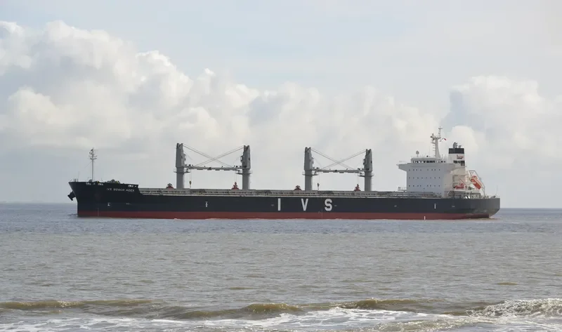 IVS BOSCH HOEK Bulk Carrier IMO 9726243 photo 6