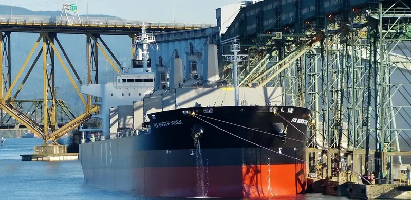 IVS BOSCH HOEK Bulk Carrier IMO 9726243 photo 10