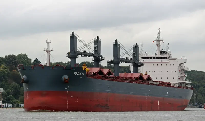 TD TOKYO Bulk Carrier IMO 9726566