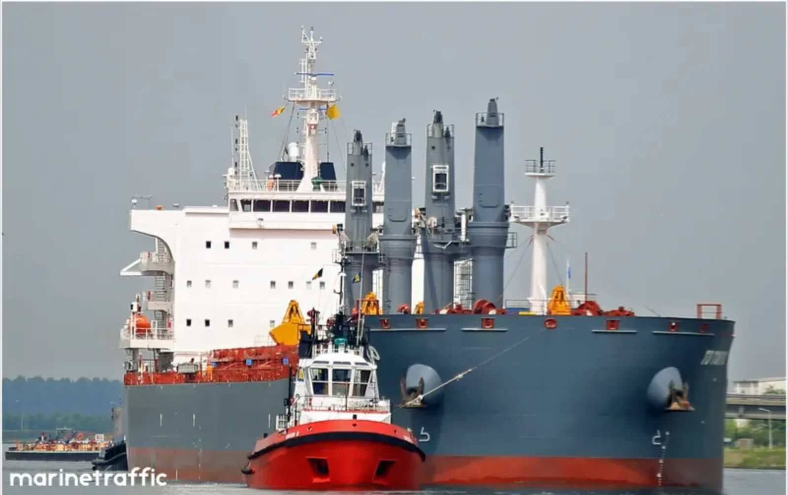 TD TOKYO Bulk Carrier IMO 9726566 photo 2