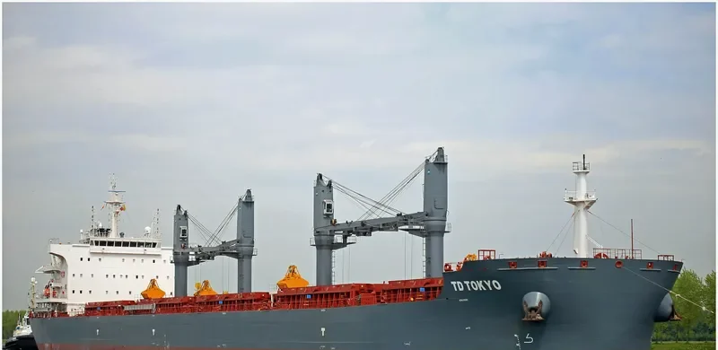 TD TOKYO Bulk Carrier IMO 9726566 photo 3