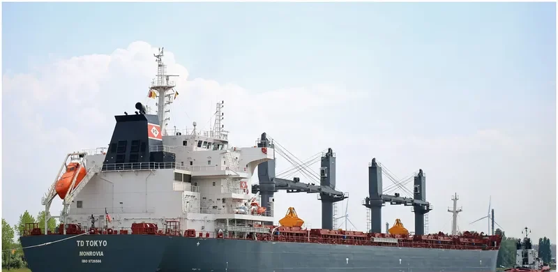 TD TOKYO Bulk Carrier IMO 9726566 photo 4