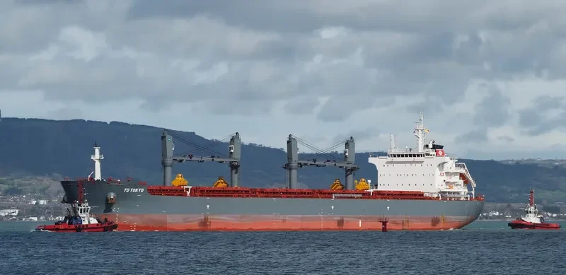 TD TOKYO Bulk Carrier IMO 9726566 photo 22