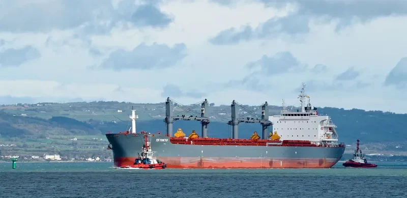 TD TOKYO Bulk Carrier IMO 9726566 photo 23