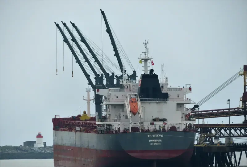 TD TOKYO Bulk Carrier IMO 9726566 photo 27