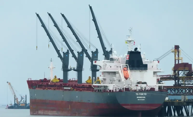 TD TOKYO Bulk Carrier IMO 9726566 photo 35