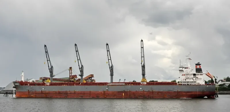 TD TOKYO Bulk Carrier IMO 9726566 photo 40