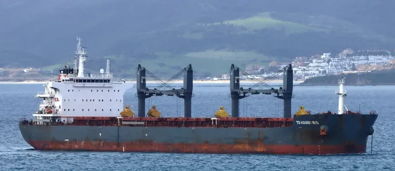 TD HAMBURG Bulk Carrier IMO 9726578