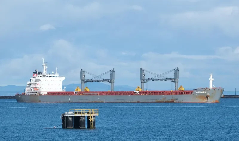 TD HAMBURG Bulk Carrier IMO 9726578 photo 5