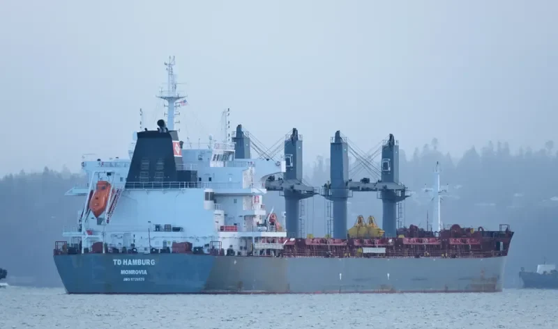 TD HAMBURG Bulk Carrier IMO 9726578 photo 6