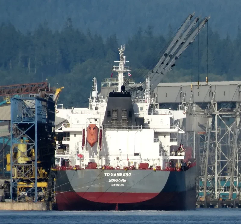 TD HAMBURG Bulk Carrier IMO 9726578 photo 8