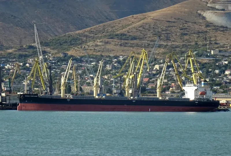 OCEAN FORTUNE Bulk Carrier IMO 9727077 photo 3