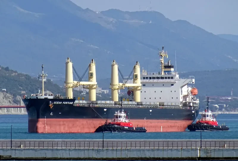 OCEAN FORTUNE Bulk Carrier IMO 9727077 photo 6