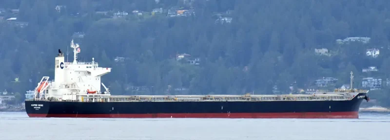 ORIENT VIOLET Bulk Carrier IMO 9727326 photo 4