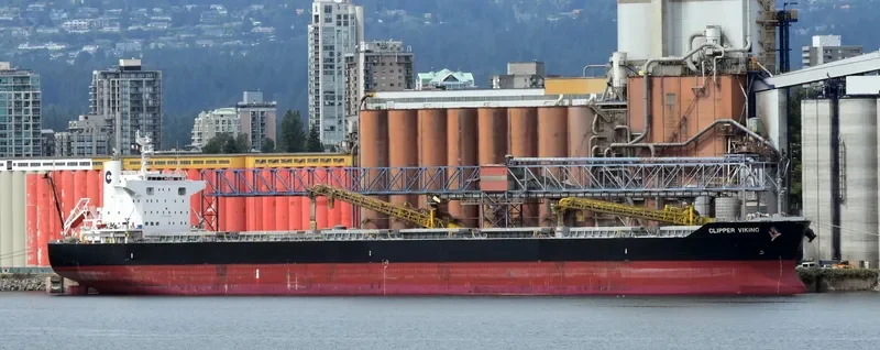 ORIENT VIOLET Bulk Carrier IMO 9727326 photo 7