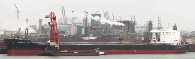 MINERAL EDO Bulk Carrier IMO 9727352