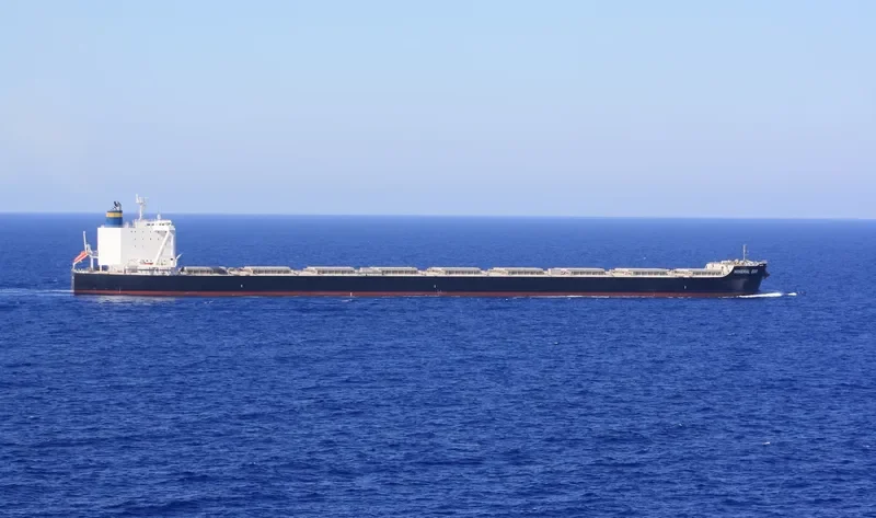 MINERAL EDO Bulk Carrier IMO 9727352 photo 2