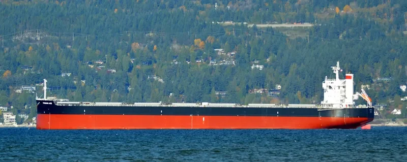 CRIMSON ACE Bulk Carrier IMO 9727429 photo 2