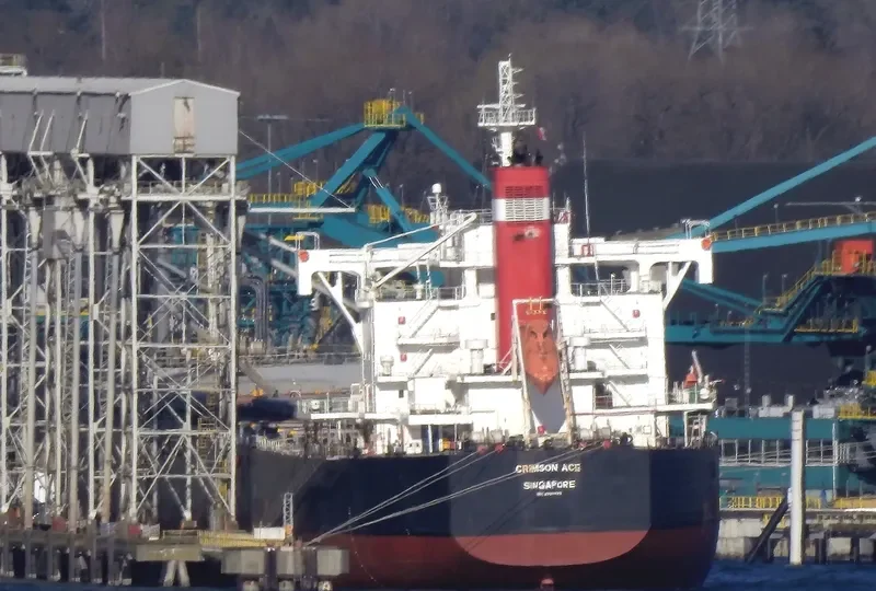 CRIMSON ACE Bulk Carrier IMO 9727429 photo 5