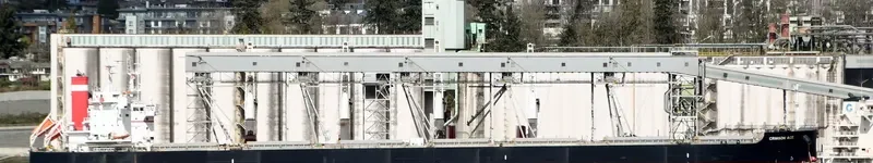 CRIMSON ACE Bulk Carrier IMO 9727429 photo 6