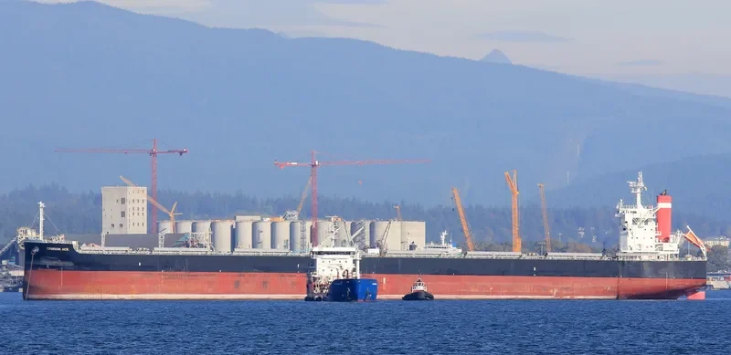 CRIMSON ACE Bulk Carrier IMO 9727429 photo 9