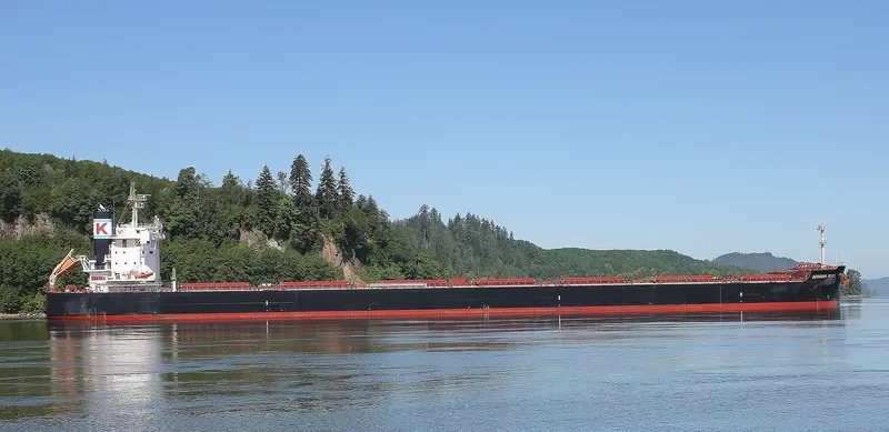 ADRIANA ROSE Bulk Carrier IMO 9727467 photo 2